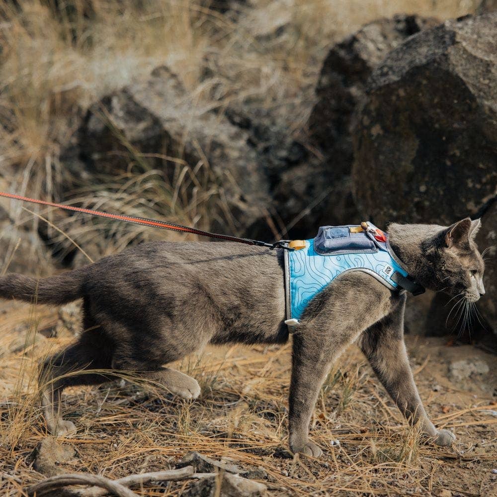 Travel Cat | Your Cat Backpack - "The Pathfinder" Cat Harness with GPS Tracker Pocket - Power: Orange Sunset / L